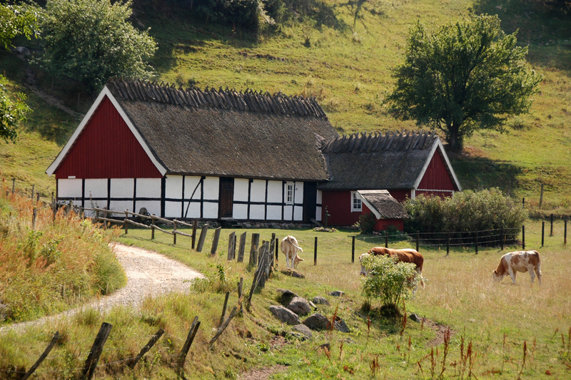 2010_08_pa_landet_emil